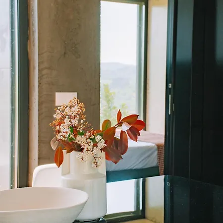 Just Like - Quinta De Todos Os Dias Villa