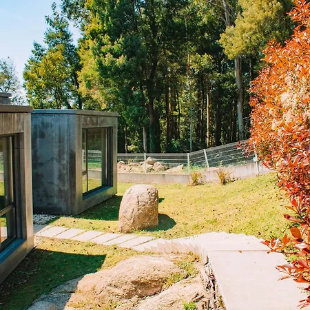 Just Like - Quinta De Todos Os Dias *