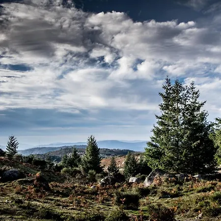 Just Like - Quinta De Todos Os Dias *