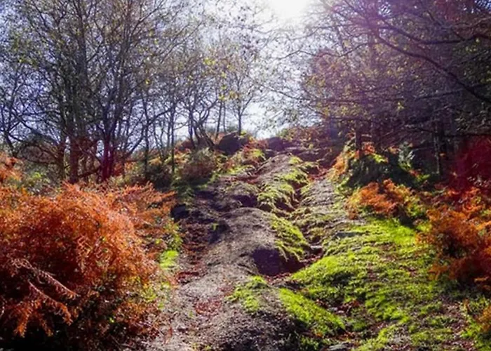 Just Like - Quinta De Todos Os Dias