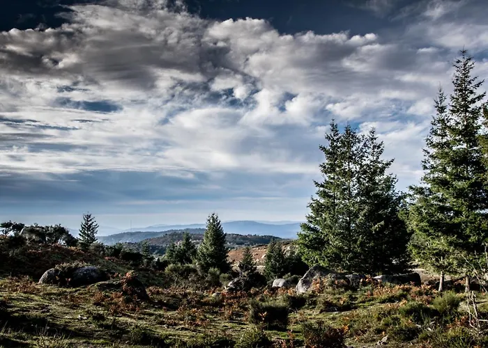 Just Like - Quinta De Todos Os Dias *